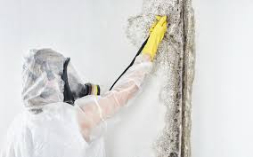  Kuna, ID Mold Removal & Remediation Pros